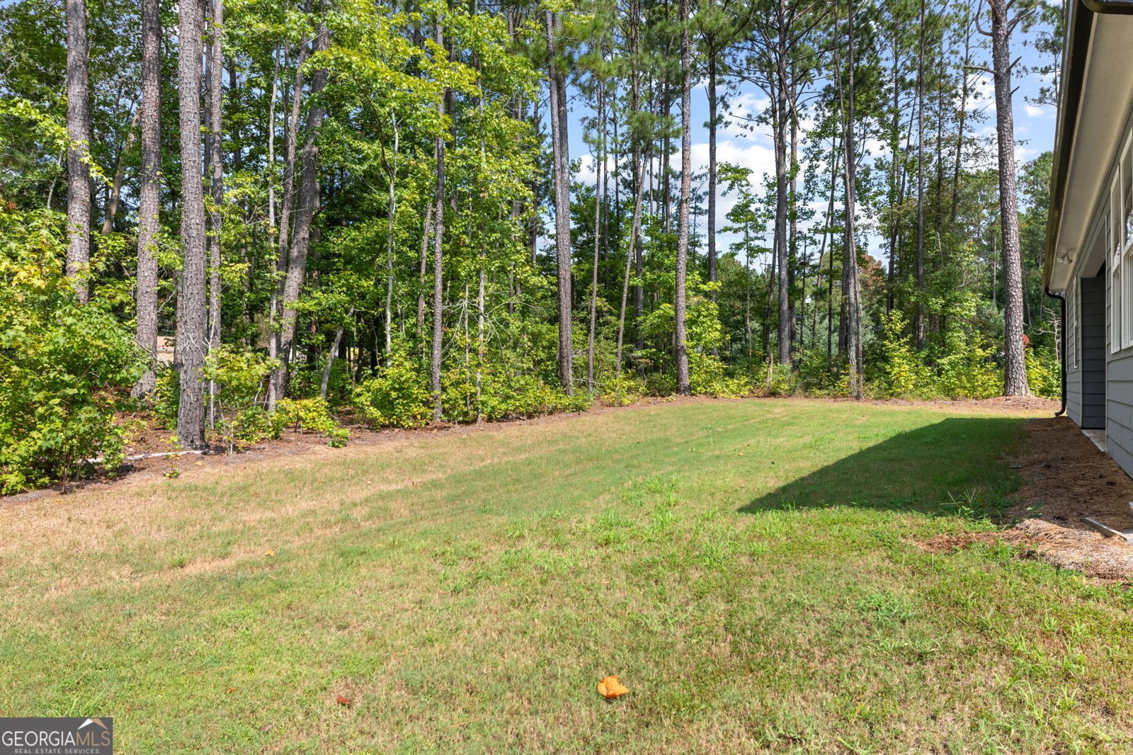 9 Foothills Trail Sharpsburg - Photo 34