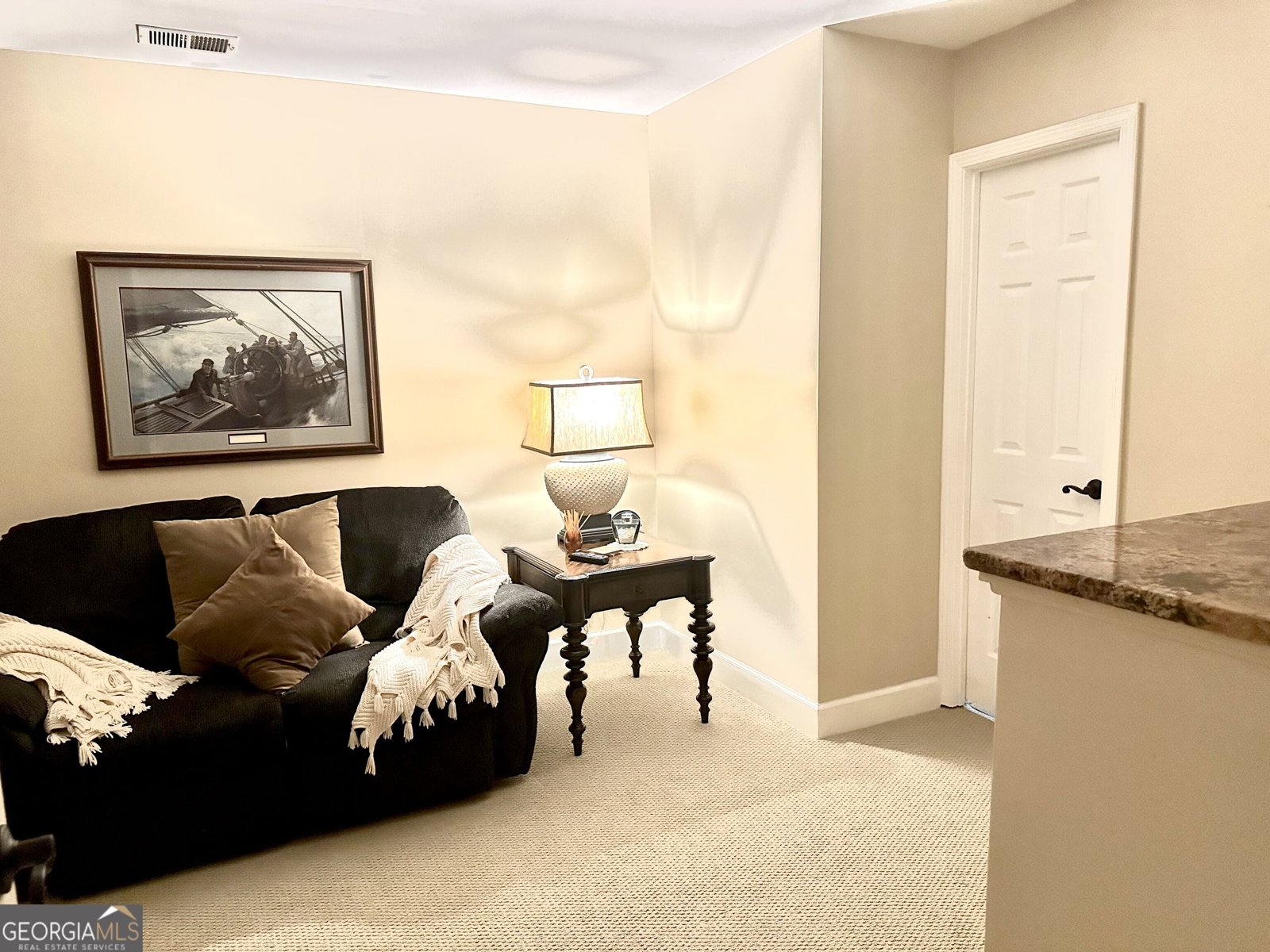 90 Springview Place Newnan - Photo 79