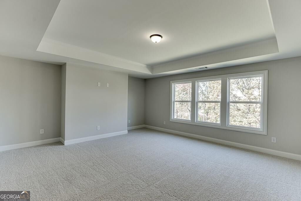 450 Thunder Road Buford - Photo 31