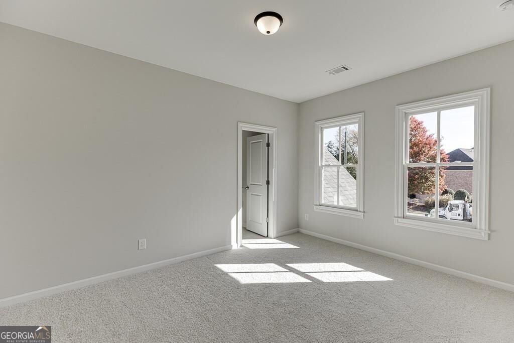 450 Thunder Road Buford - Photo 36