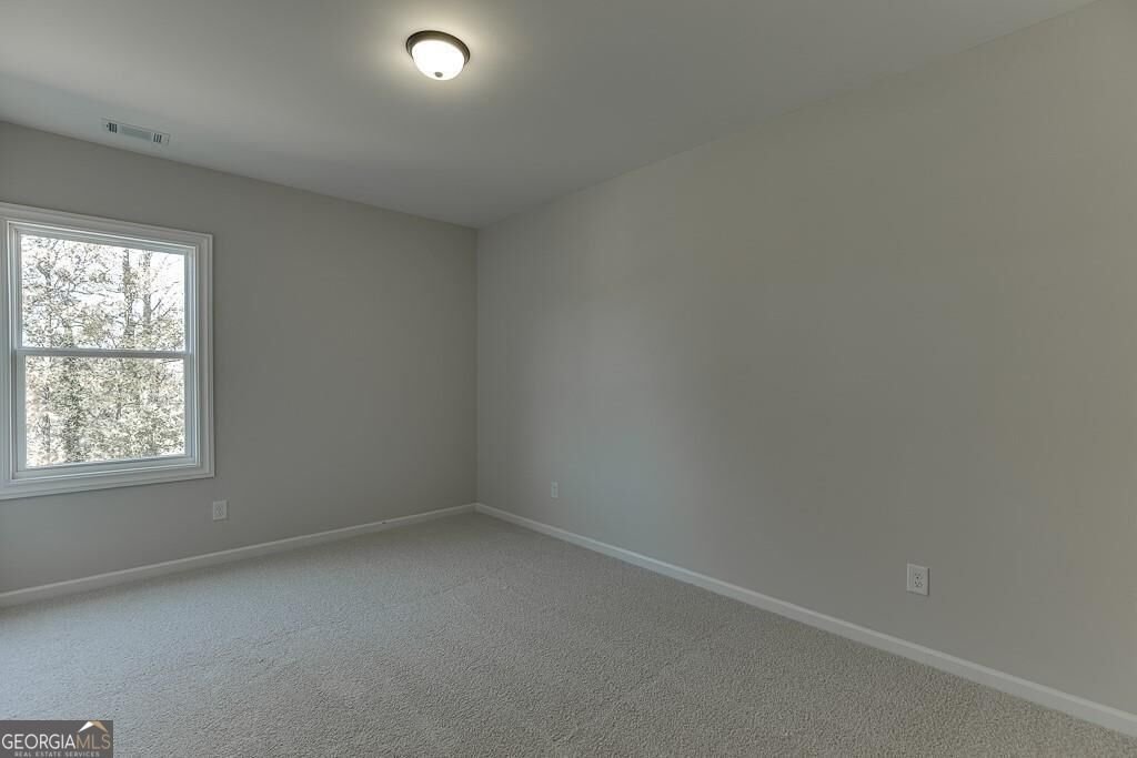 450 Thunder Road Buford - Photo 41