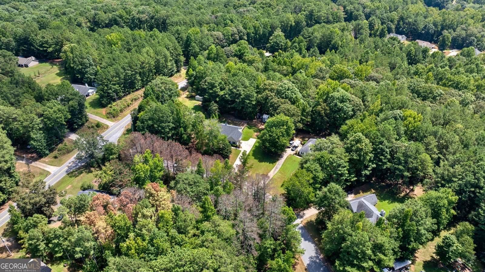 20 Walton Woods Drive Newnan - Photo 33
