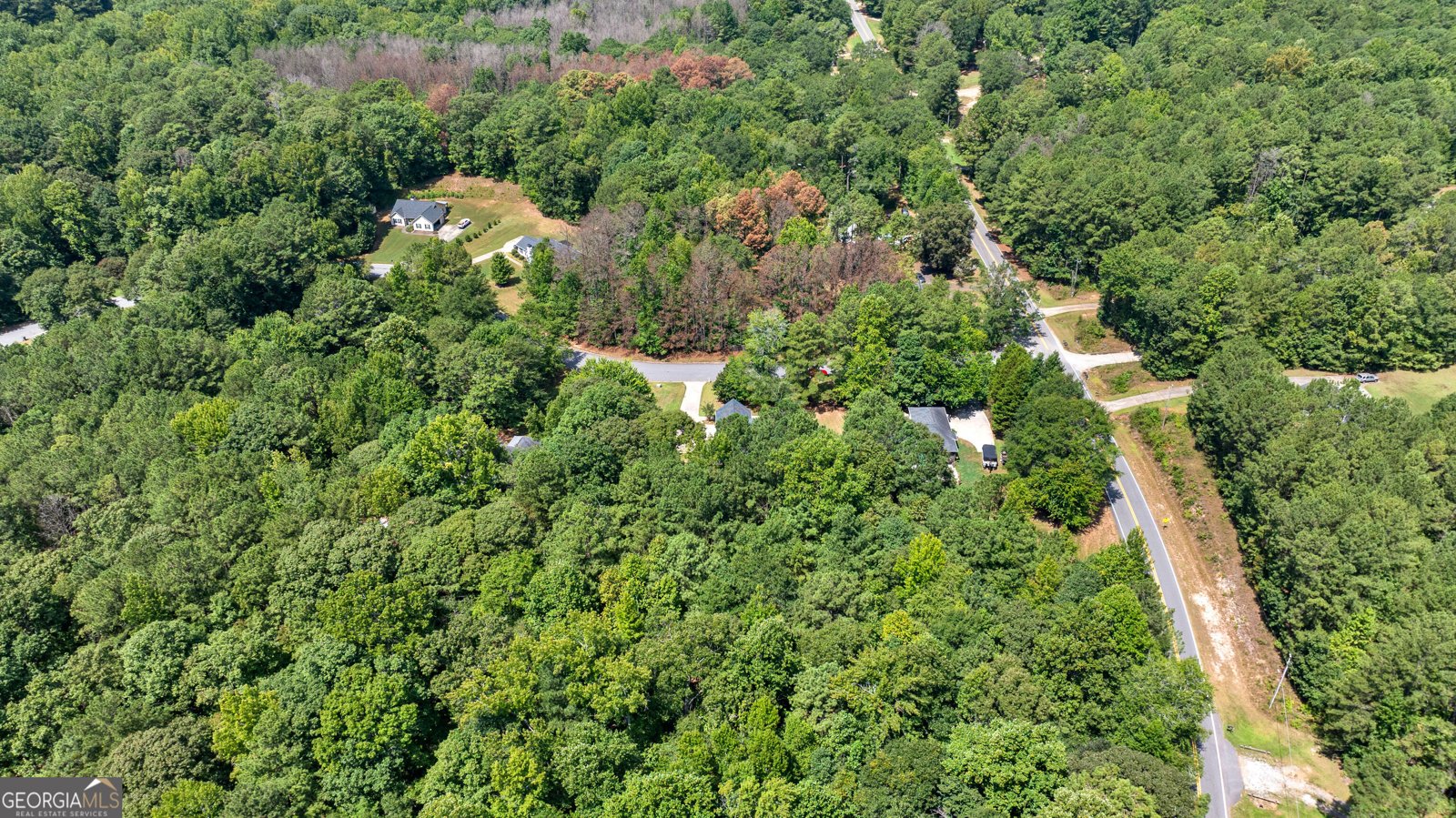 20 Walton Woods Drive Newnan - Photo 35
