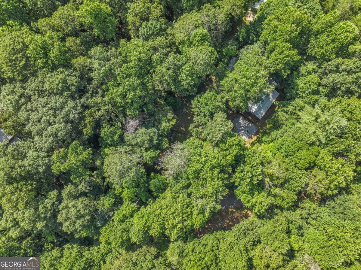 158 Bamby Lane Ellijay - Photo 27