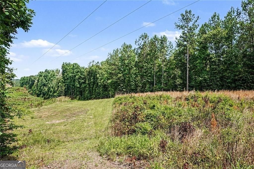 613 Millen Road Monticello - Photo 31