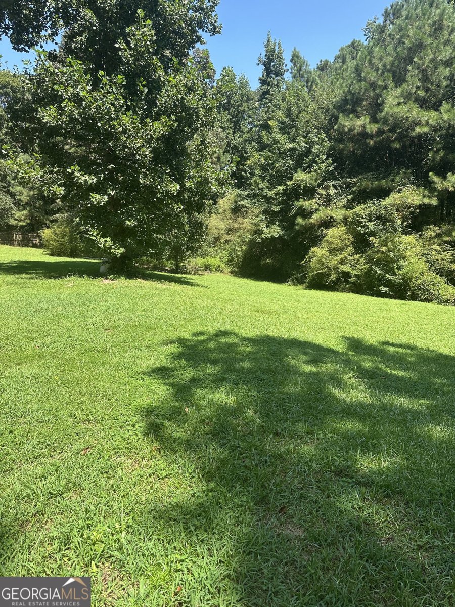 825 Beaver Run Ext Bowman - Photo 22