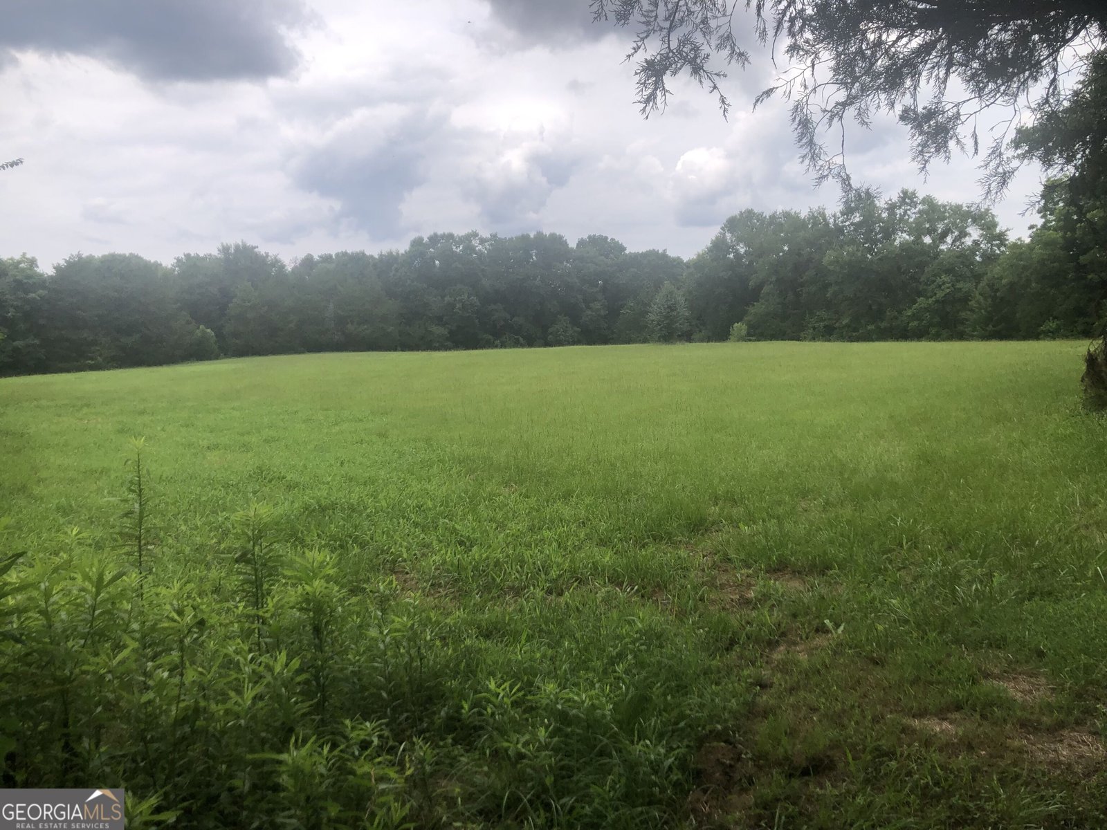 517 Trice Cemetery Road Thomaston - Photo 31