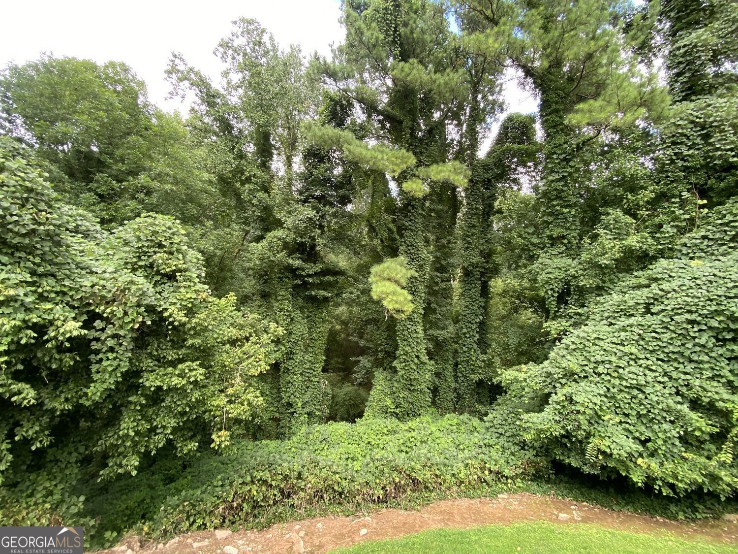 1640 Canberra Drive Stone Mountain - Photo 41