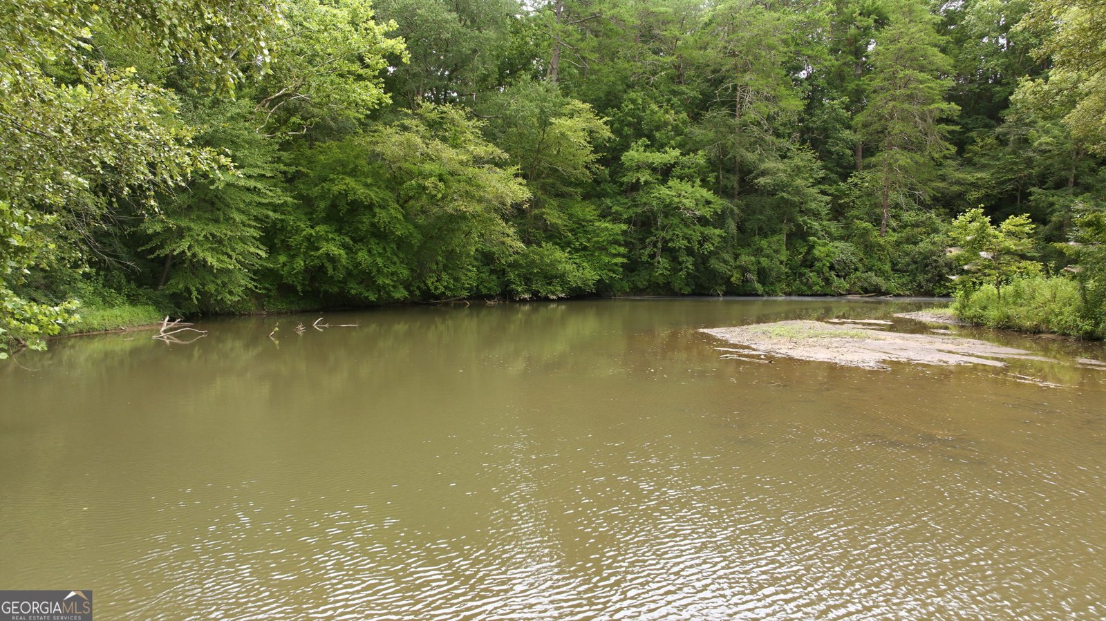 938 Waters Street Clarkesville - Photo 53