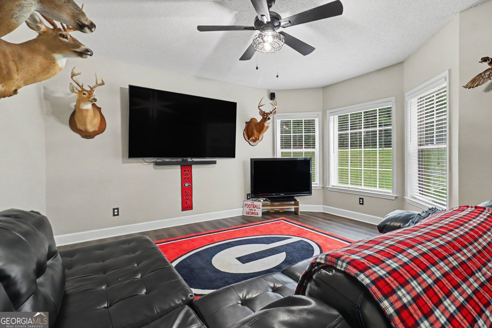 260 Nixon Road Senoia - Photo 31