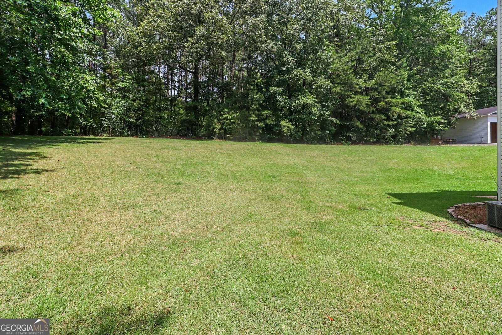260 Nixon Road Senoia - Photo 43