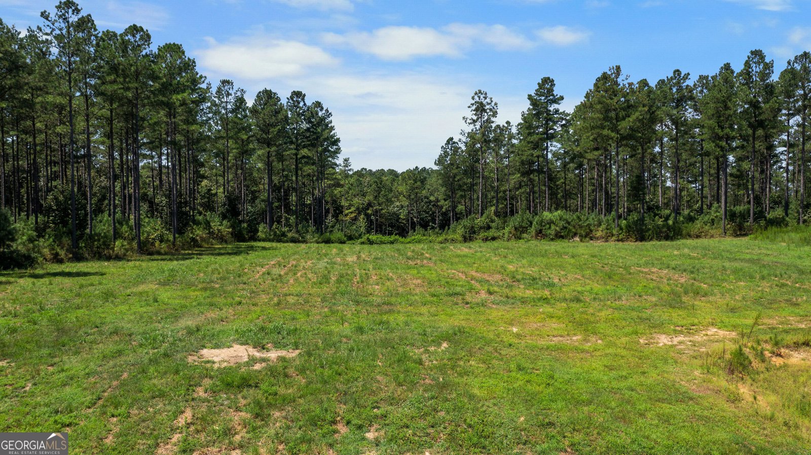 3390 Pleasant Valley Road Rome - Photo 6