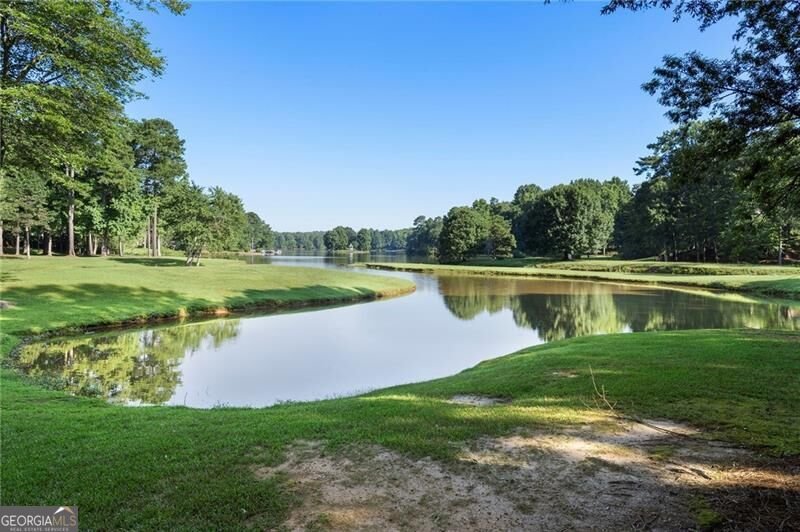 405 Island Cove Drive Newnan - Photo 56