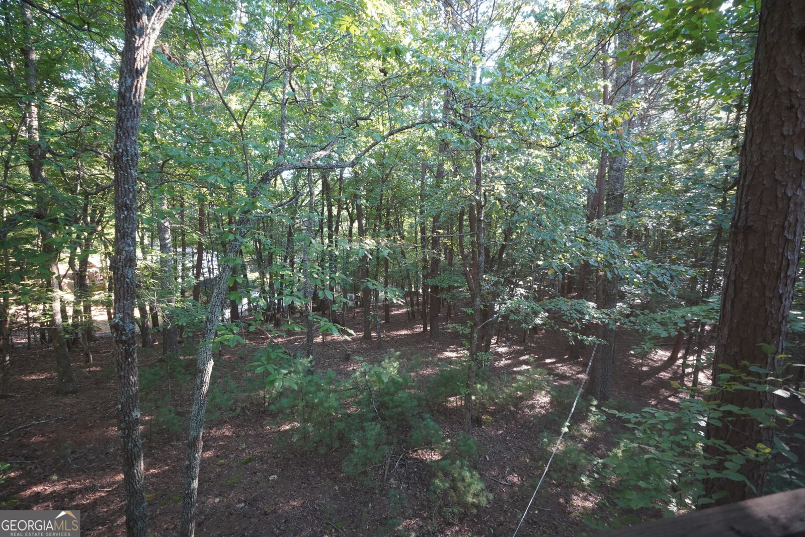 732 Honeysuckle Drive Blairsville - Photo 27