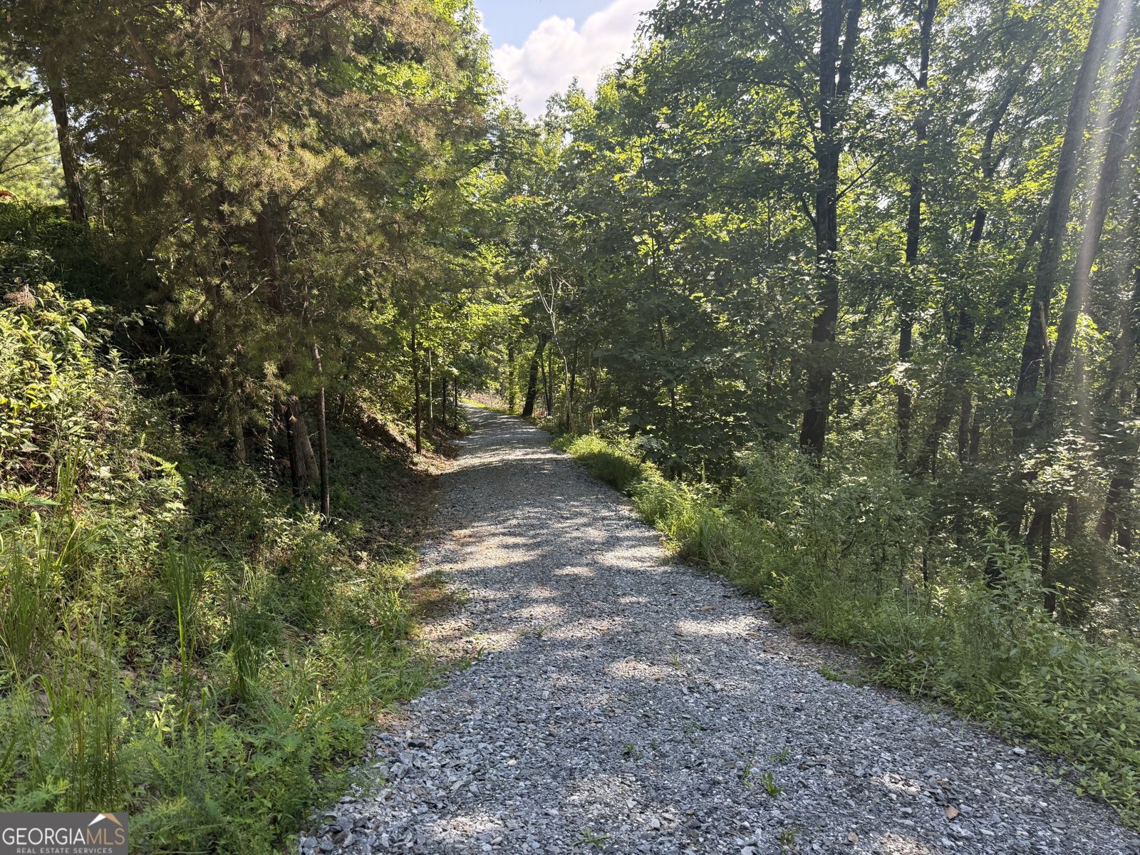 596 Morton Drive Ellijay - Photo 35