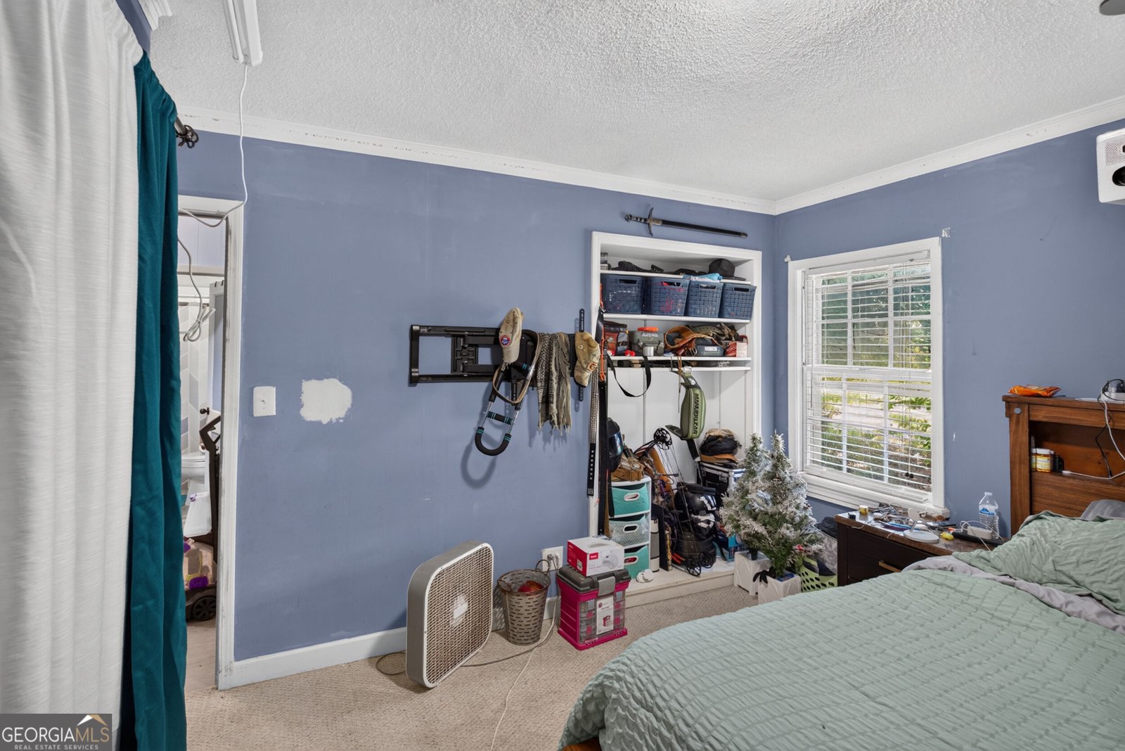 5513 Mended Fences Drive Appling - Photo 14