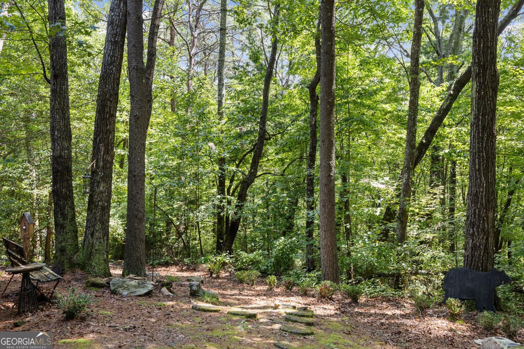 43 Jason Martin Circle Cherry Log - Photo 29