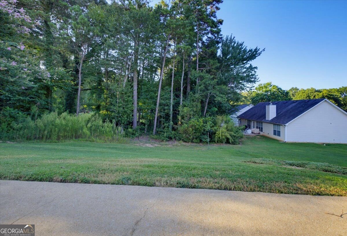 6048 Hillvale Court Lithonia - Photo 29