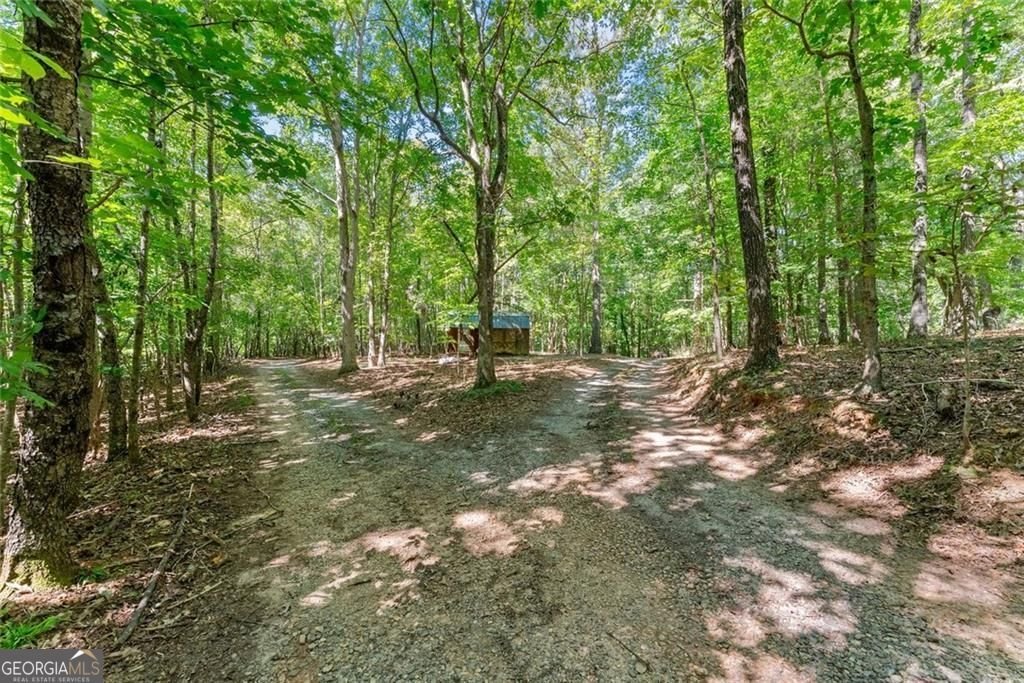 901 Peachtree Cove Demorest - Photo 10