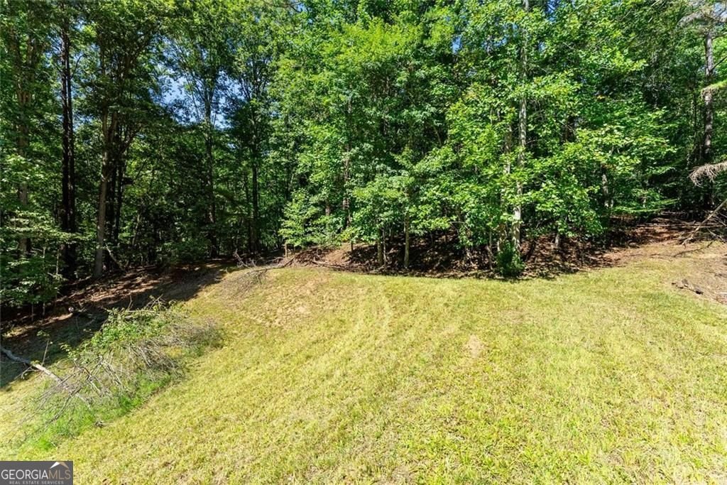 901 Peachtree Cove Demorest - Photo 11