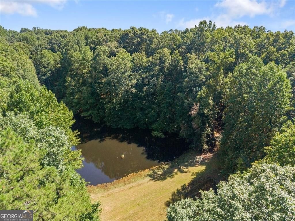 901 Peachtree Cove Demorest - Photo 14
