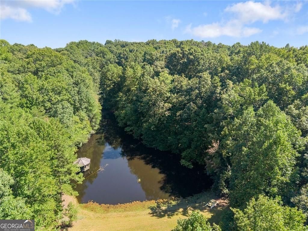 901 Peachtree Cove Demorest - Photo 18