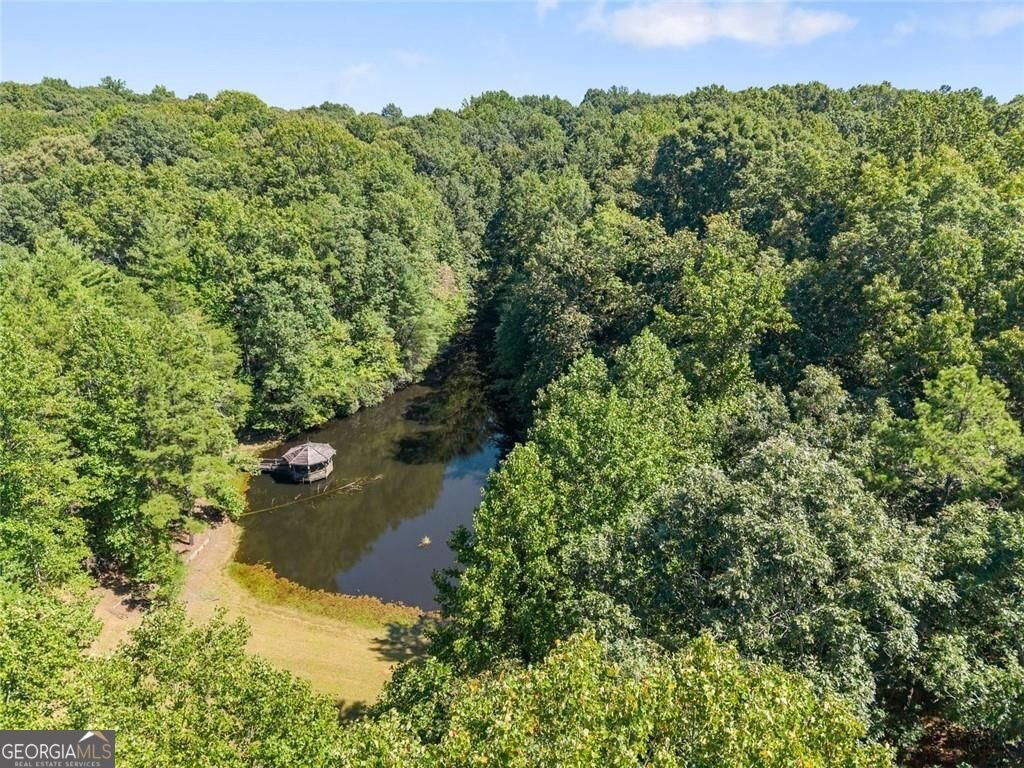 901 Peachtree Cove Demorest - Photo 20