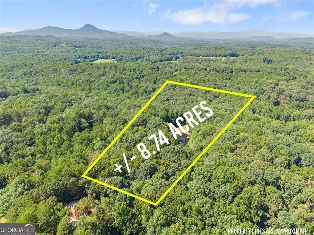 901 Peachtree Cove Demorest - Photo 21