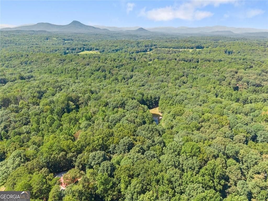 901 Peachtree Cove Demorest - Photo 25