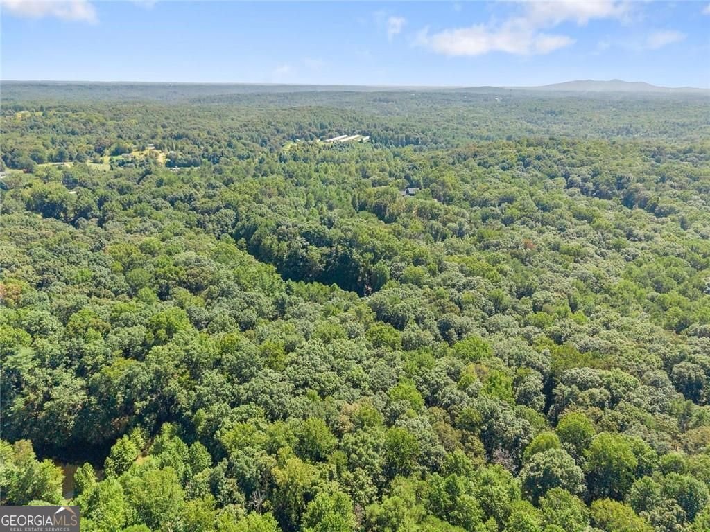901 Peachtree Cove Demorest - Photo 26