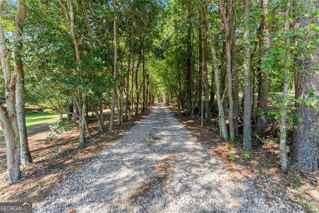 901 Peachtree Cove Demorest - Photo 6