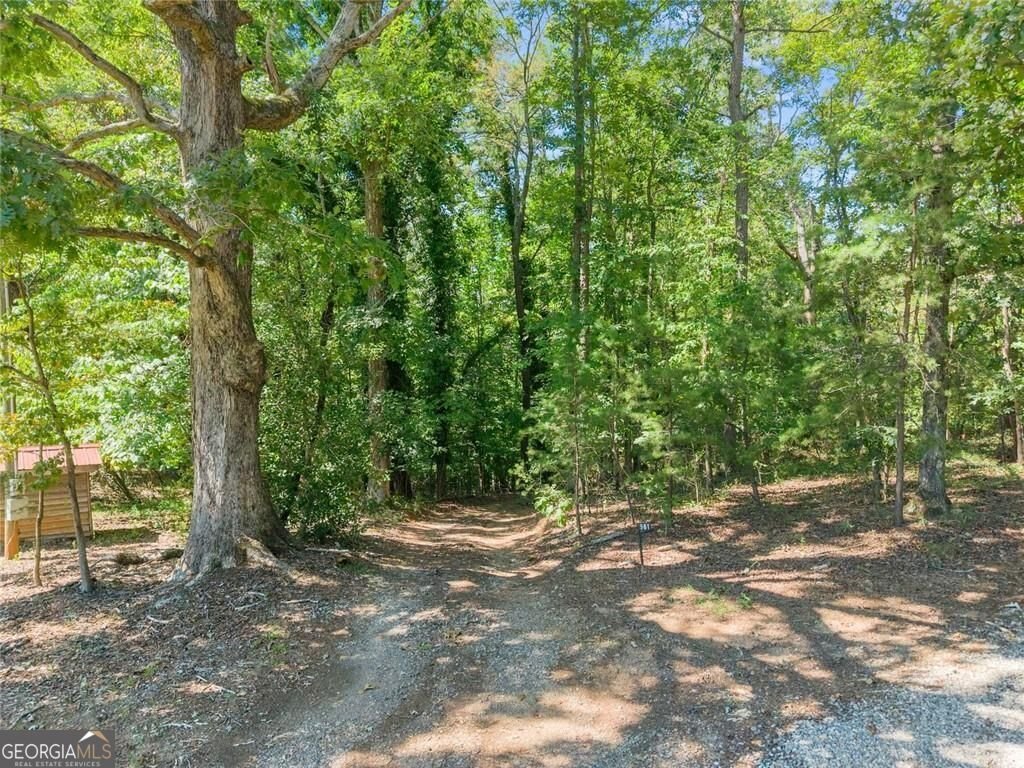 901 Peachtree Cove Demorest - Photo 8