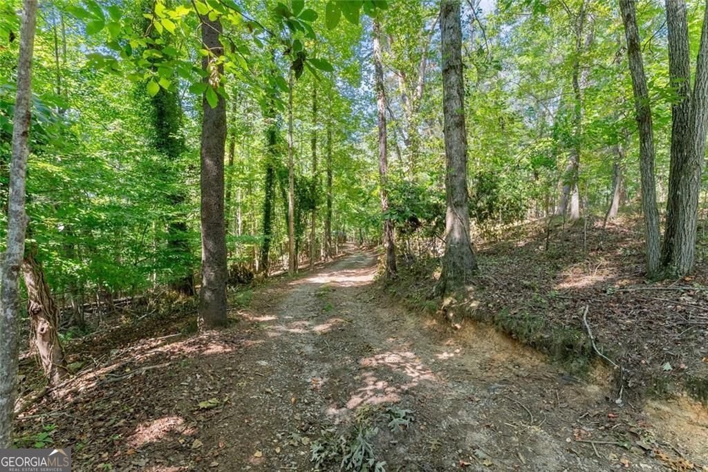 901 Peachtree Cove Demorest - Photo 9
