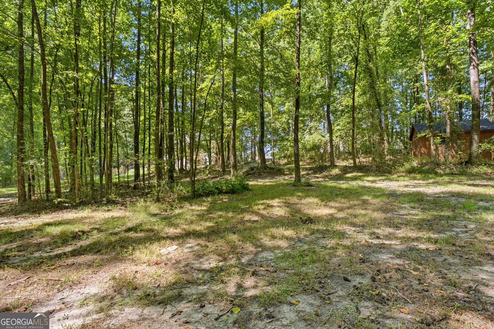 1611 Lake View Court Loganville - Photo 78