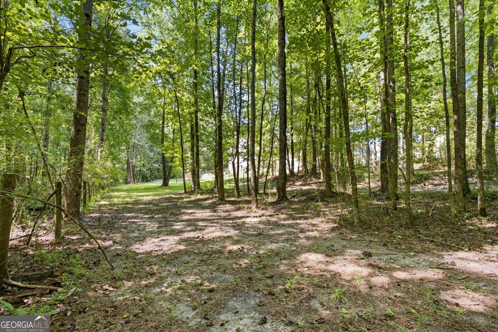 1611 Lake View Court Loganville - Photo 79