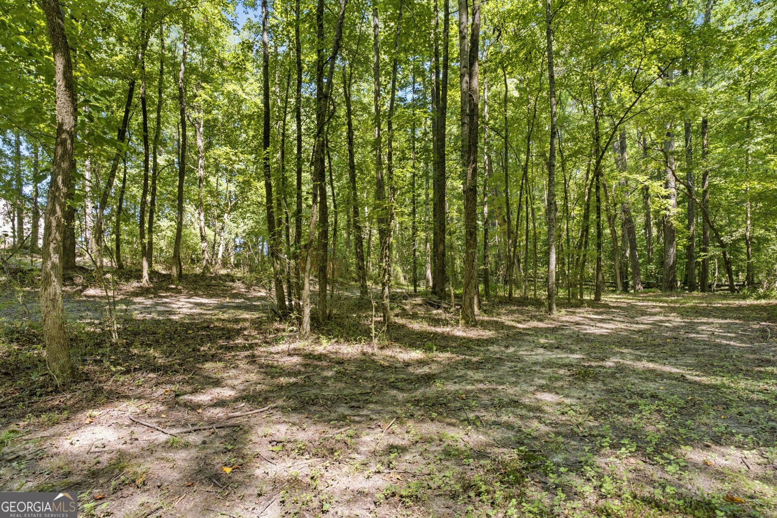 1611 Lake View Court Loganville - Photo 80