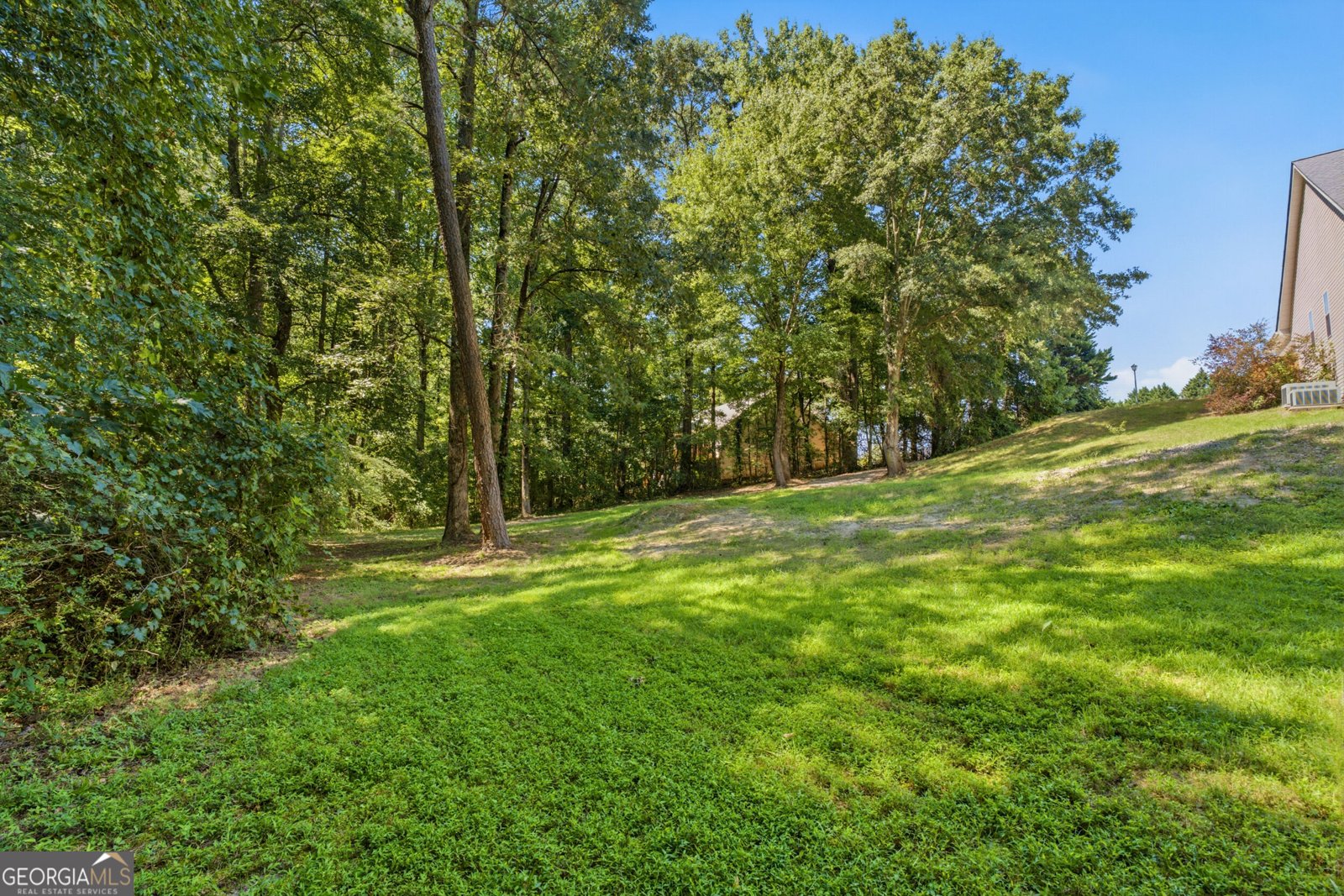 1611 Lake View Court Loganville - Photo 85