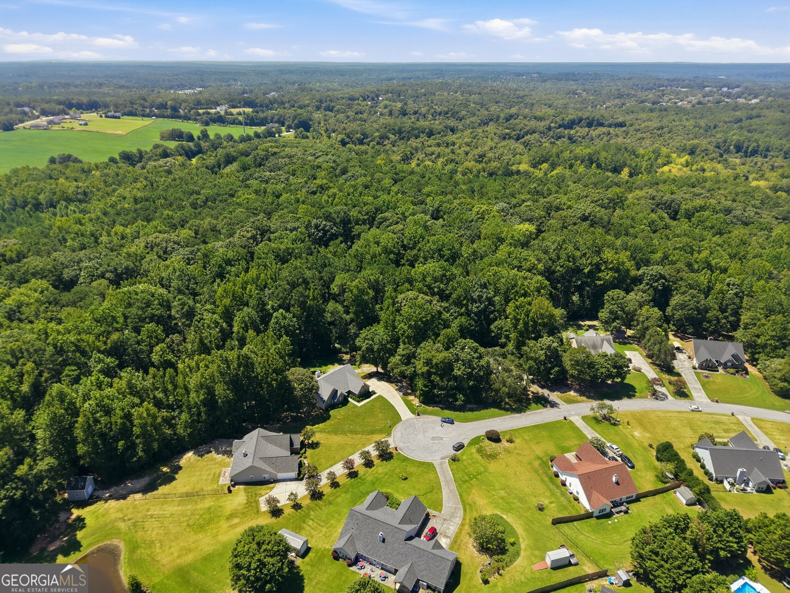 1611 Lake View Court Loganville - Photo 94