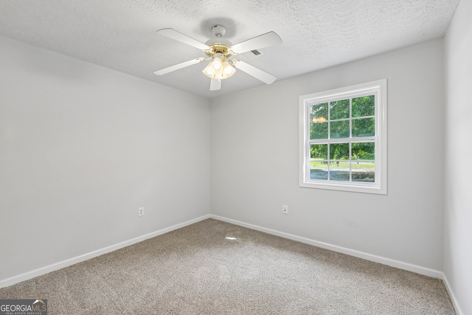 191 Mount Pleasant Church Road Gordon - Photo 6