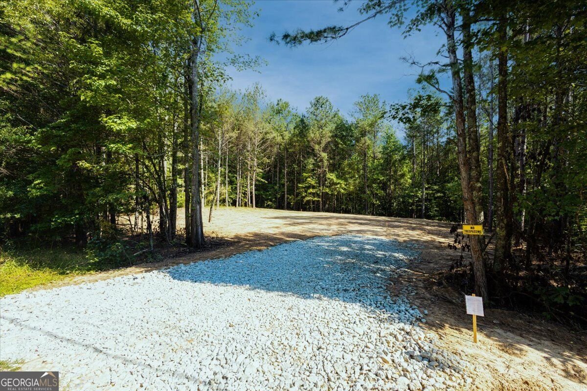 TRACT2 PLEASANT HILL Road Rockmart - Photo 37