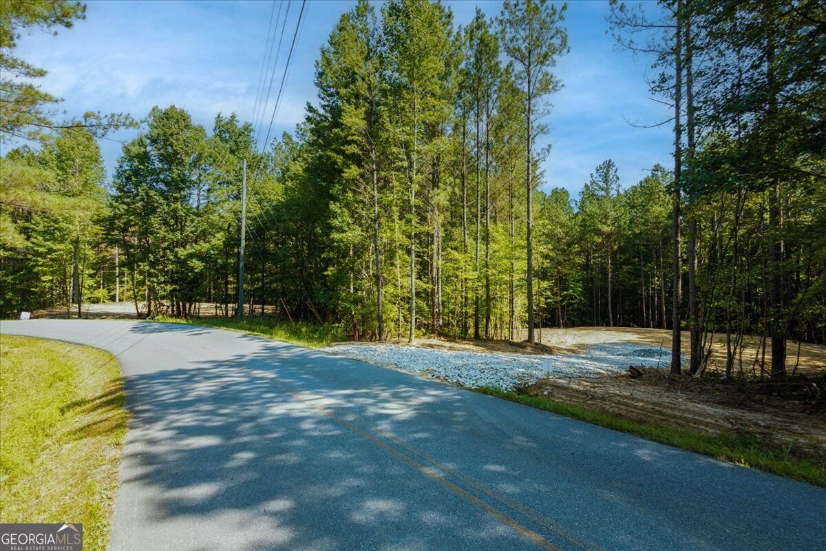 TRACT2 PLEASANT HILL Road Rockmart - Photo 38