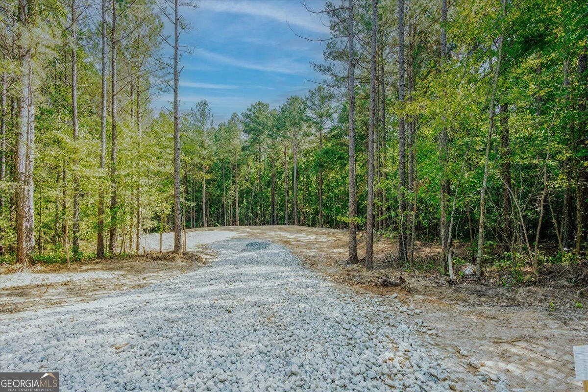 TRACT2 PLEASANT HILL Road Rockmart - Photo 39