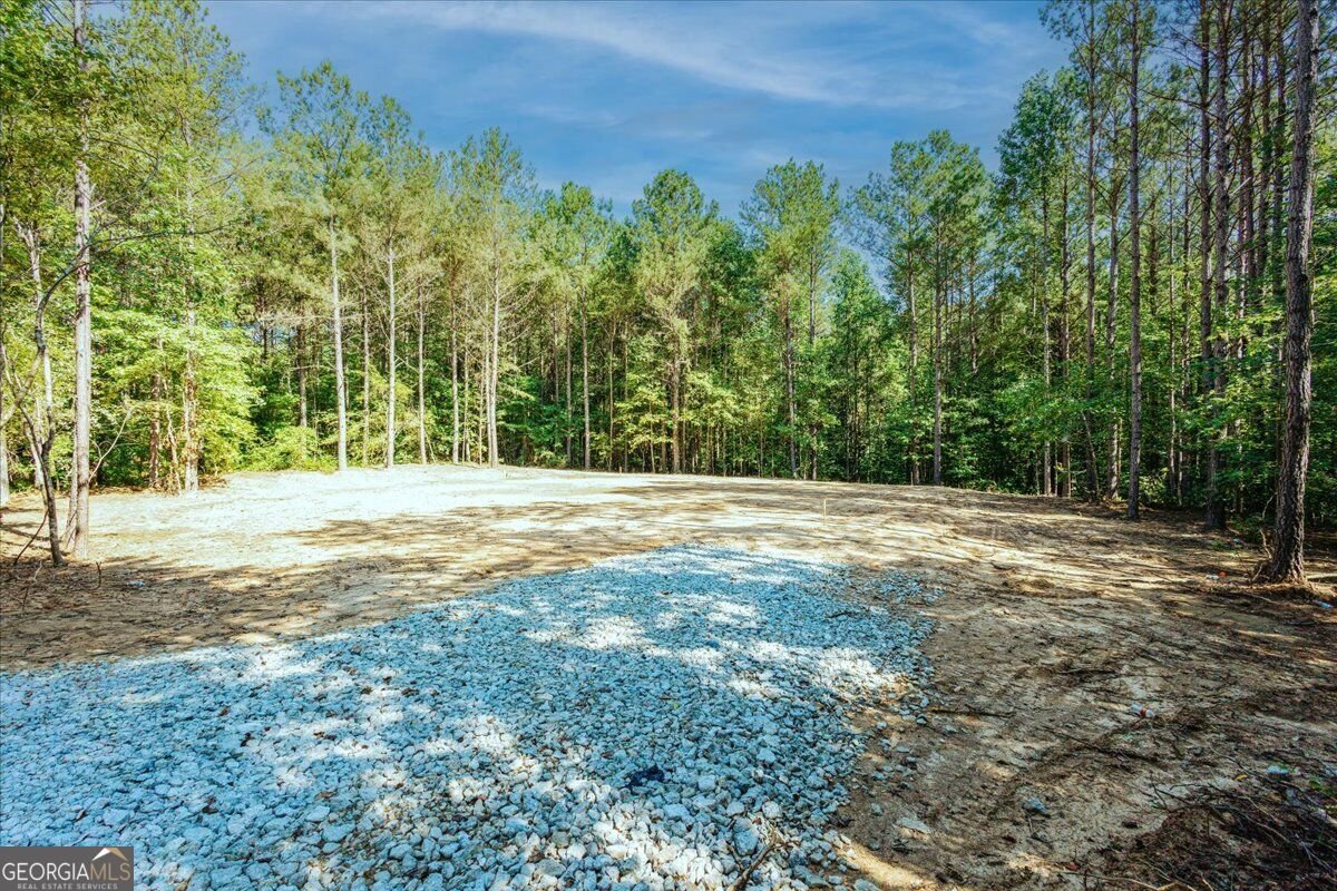 TRACT2 PLEASANT HILL Road Rockmart - Photo 41