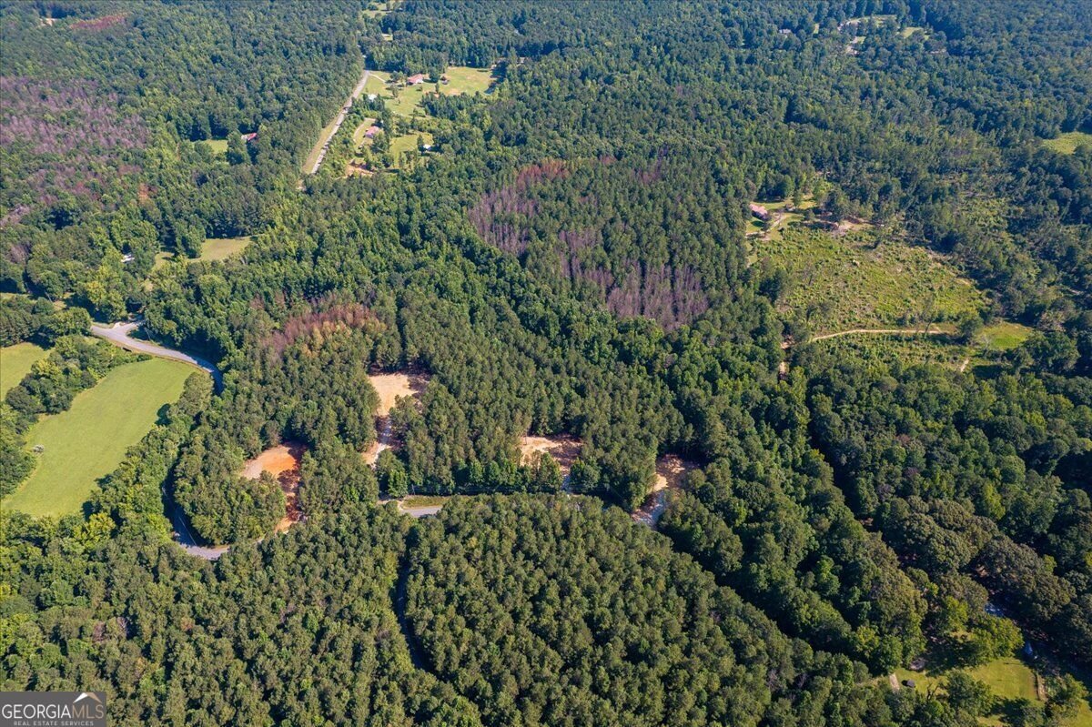 TRACT2 PLEASANT HILL Road Rockmart - Photo 42
