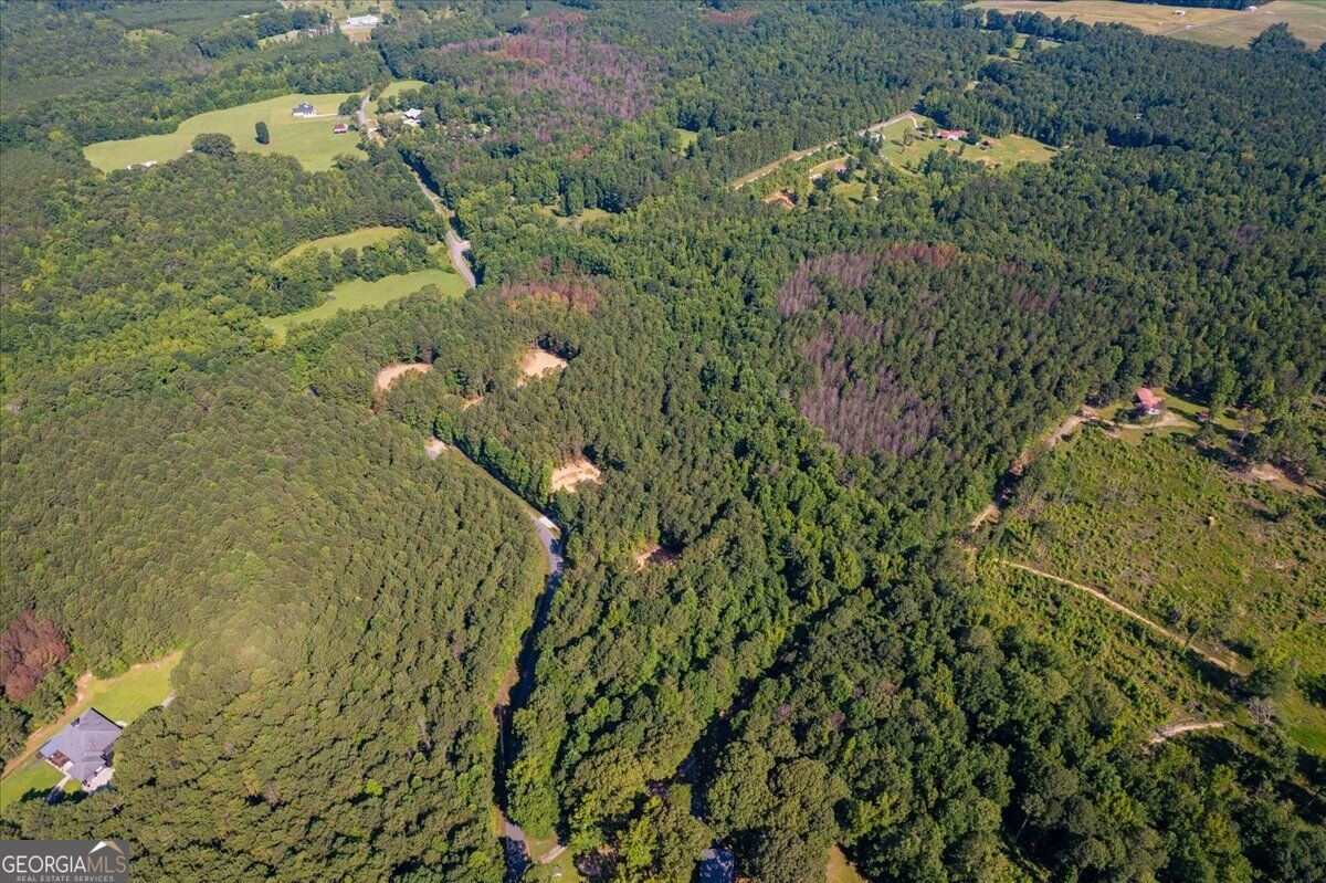 TRACT2 PLEASANT HILL Road Rockmart - Photo 43
