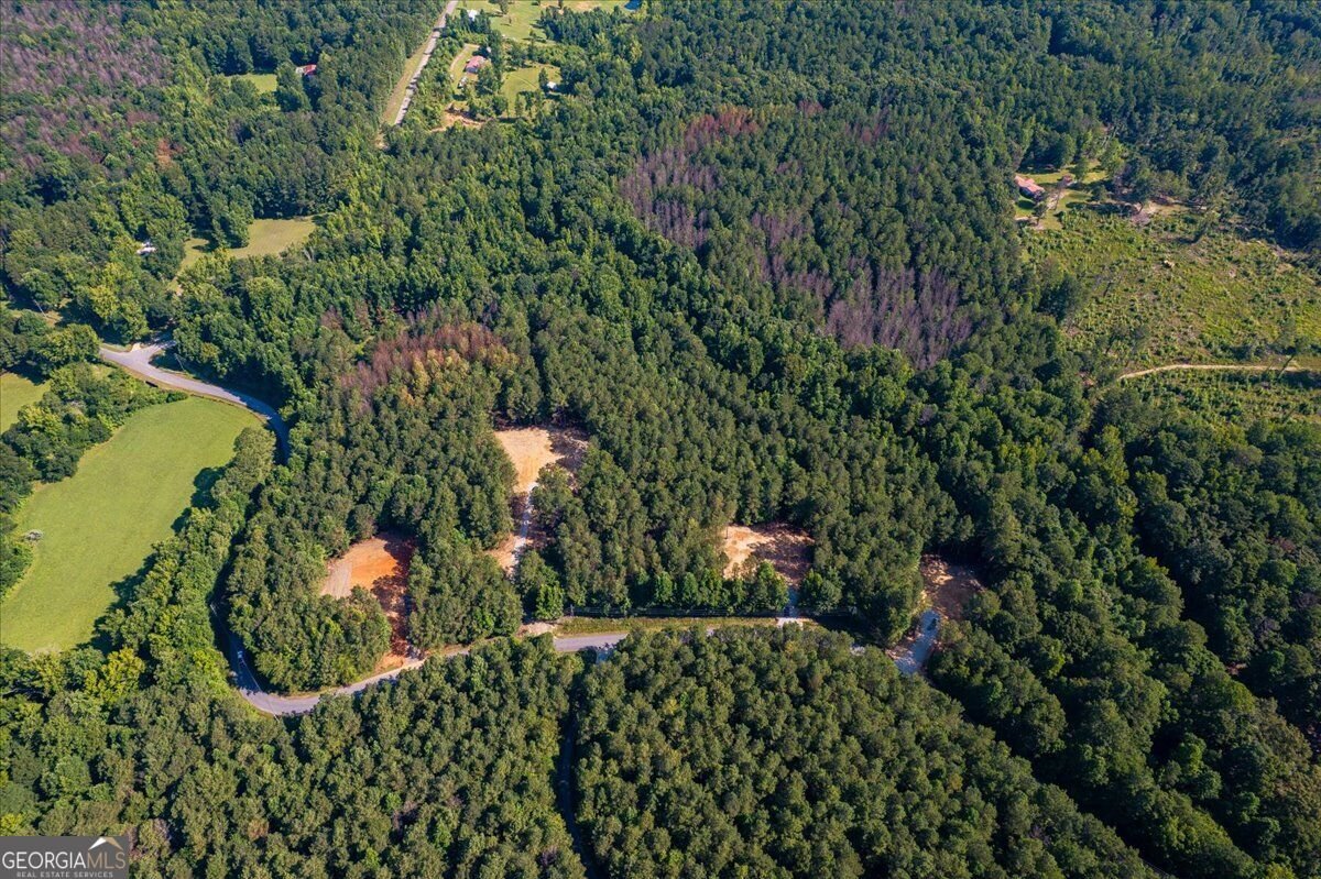 TRACT2 PLEASANT HILL Road Rockmart - Photo 44