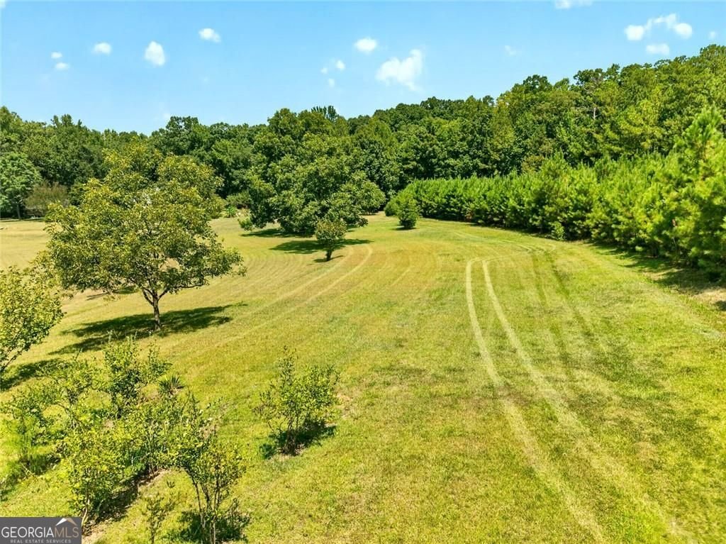 961 Birdie Road Griffin - Photo 100