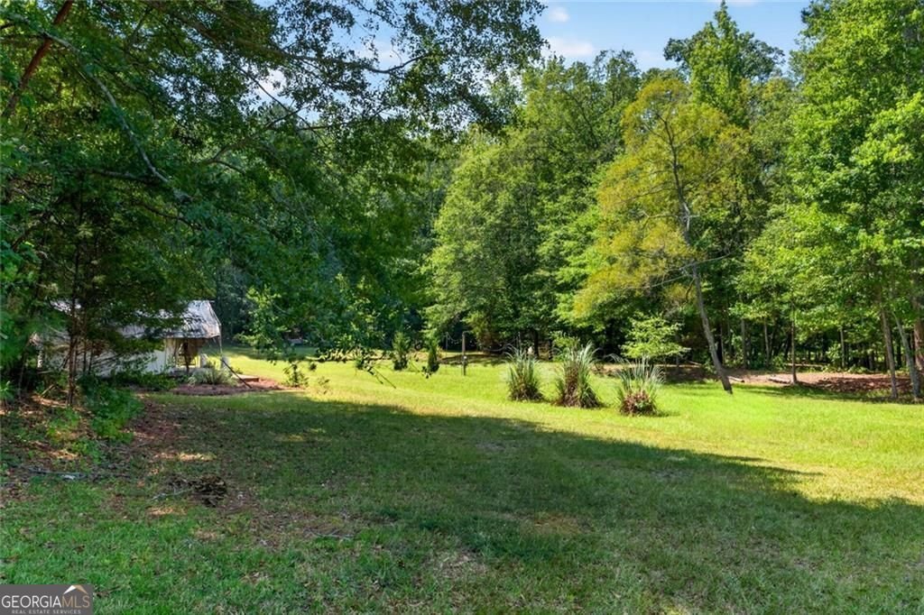 961 Birdie Road Griffin - Photo 103