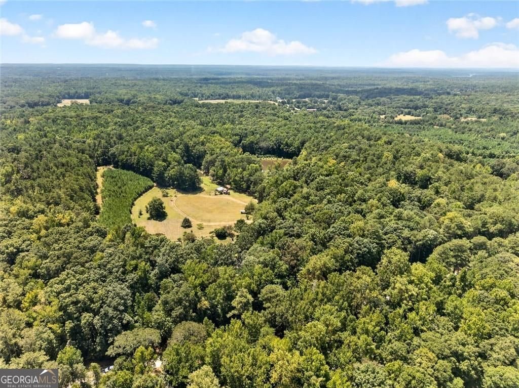 961 Birdie Road Griffin - Photo 112