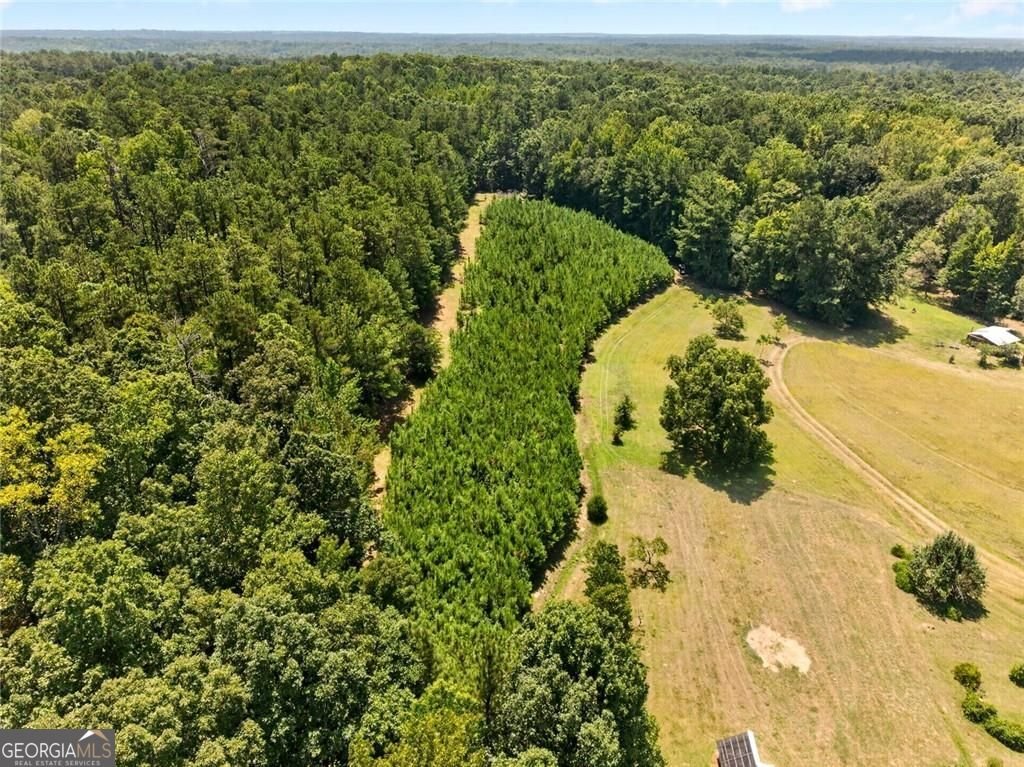 961 Birdie Road Griffin - Photo 113